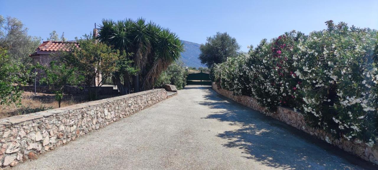 Ellie'S Stonehouse Gianapa, Porto Rafti, Greece, 190 03, Gr别墅 外观 照片